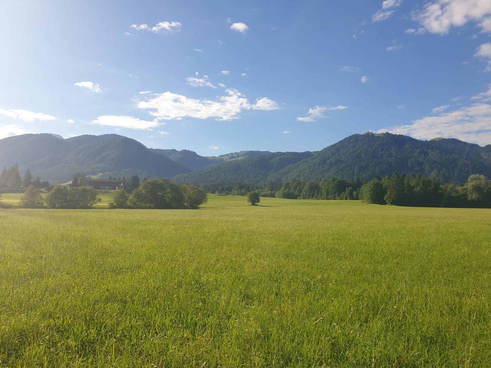 Appartementhaus Huettenberger 埃普芬多夫 外观 照片