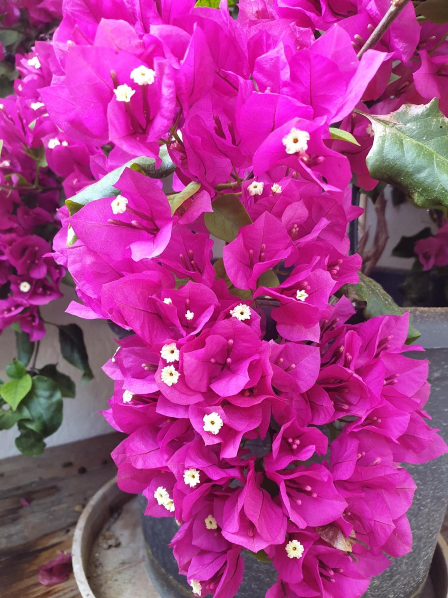 Appartementhaus Huettenberger 埃普芬多夫 外观 照片