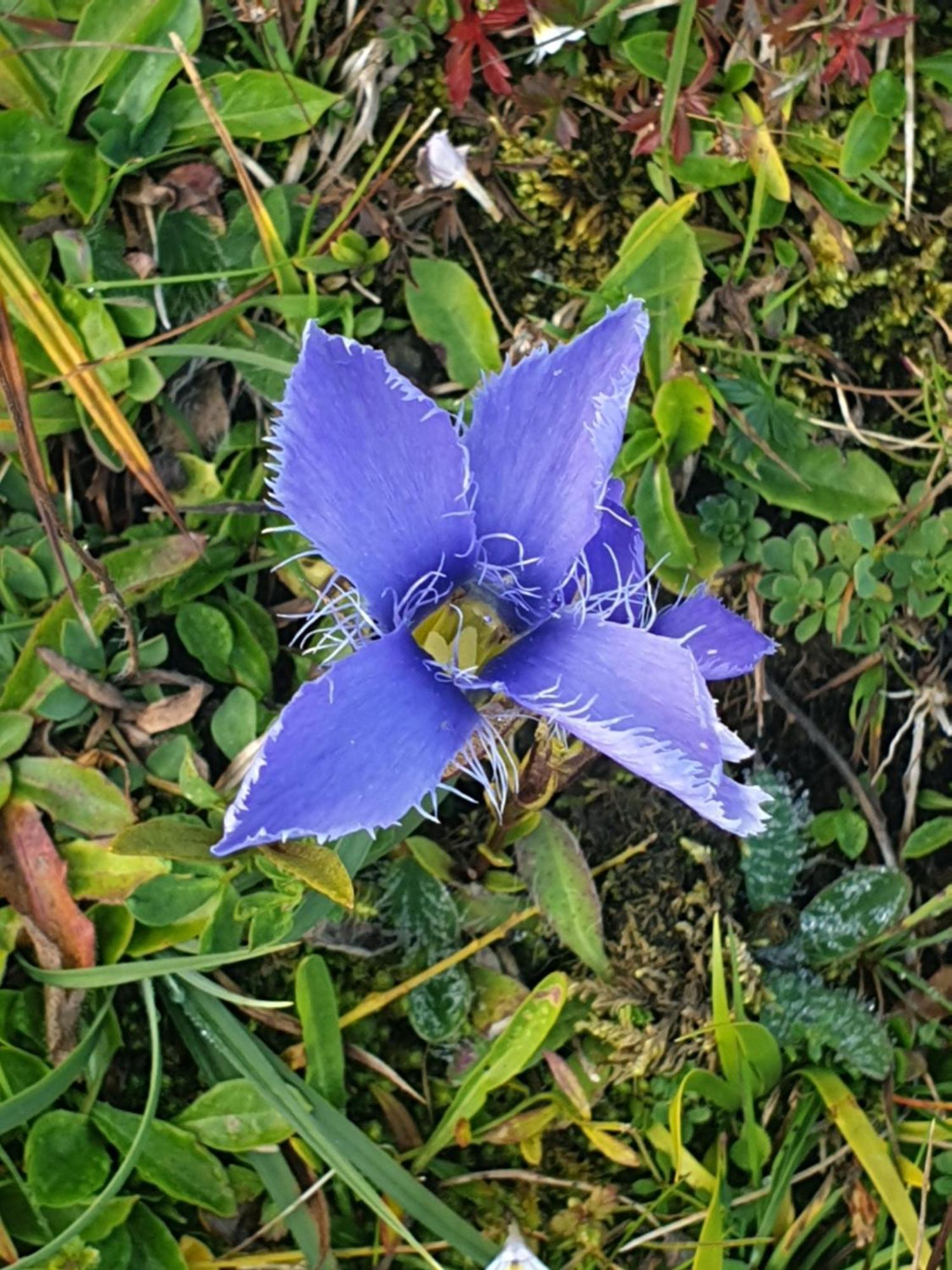 Appartementhaus Huettenberger 埃普芬多夫 外观 照片