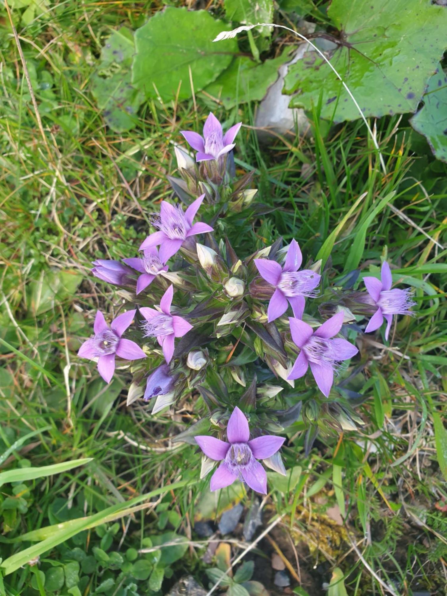 Appartementhaus Huettenberger 埃普芬多夫 外观 照片